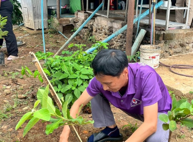 กิจกรรมจิตอาสาบำเพ็ญสาธารณประโยชน์และบำเพ็ญสาธารณกุศลเฉลิมพระเกียรติสมเด็จพระนางเจ้าฯ พระบรมราชินี เนื่องในโอกาสวันเฉลิมพระชนมพรรษา 3 มิถุนายน 2568 ... พารามิเตอร์รูปภาพ 27